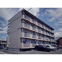 クオリティー白眉 208