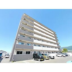 コンフォーティアブレイン樹