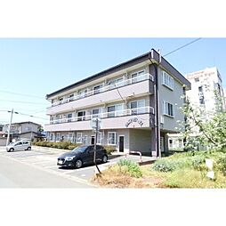 ソルトリバーヒル 205