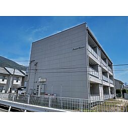 サンライズドリーム