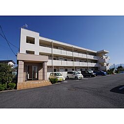 パインプラザ
