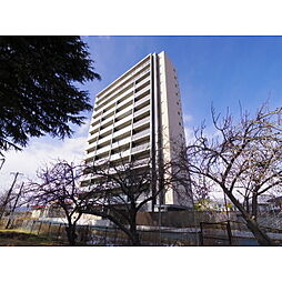 サーパス若里グランテラス