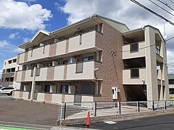 カルムアビタシオン大将軍II 305