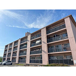 筒井ハイツ(0005604)