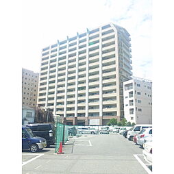 ロイヤル西宮今津駅前（150036）