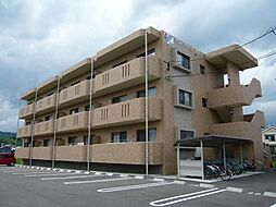 サンパティーク　ソヨ 105