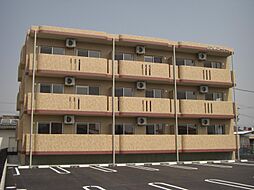 ビブレコート 101