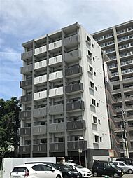 プレベントＮ 803