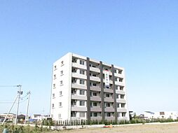 Ｂｒｏｏｋ’ｓ　ＳｑｕａｒｅII 501