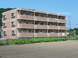 サニーコート　笹目 203