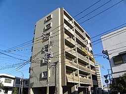 ヴィオレッタ 305