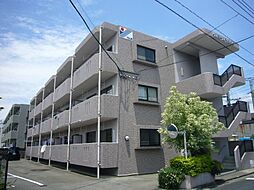 ドルミールＹａｎｏ 101