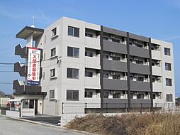 ラヴィドール 305