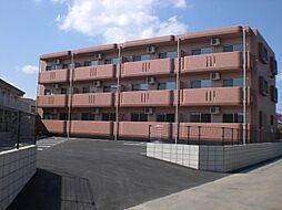 グリーン　デイ 201