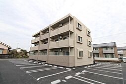 ヴァレンティナ 301