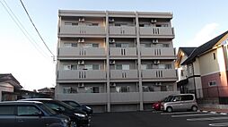 ミネルバ 203