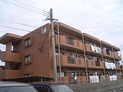 サンコート大島Ｃ棟 102