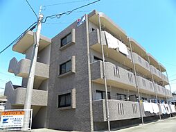 アンシャンテ・Ｎ 203