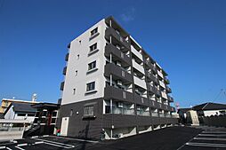 DAN 503