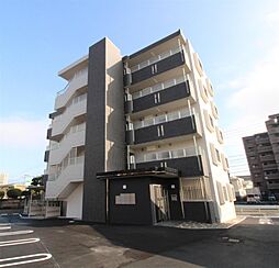 ピュア　サーマル 203