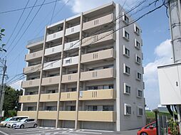 Sky Design III 101