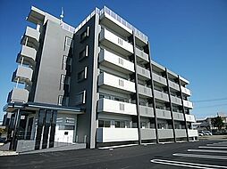 Ｂｒｏｏｋ’ｓ　ＳｑｕａｒｅIII 203