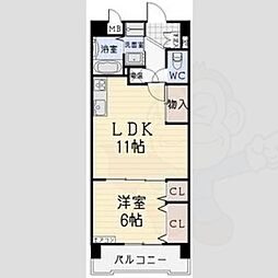 ファレノプシス