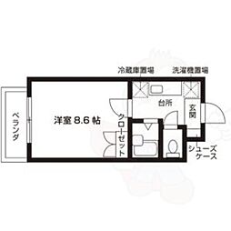 ウィルトゥース瑞穂