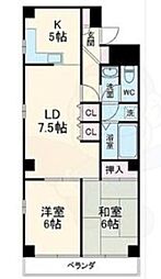 フリージア FREESIA