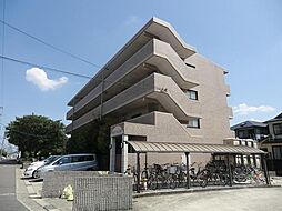 メゾンウィング