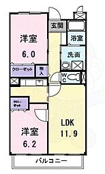 プラシード