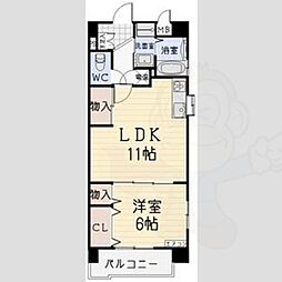 ファレノプシス