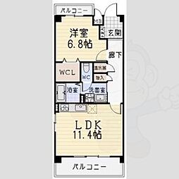 コースマスY.M