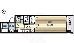 カーサルピナス