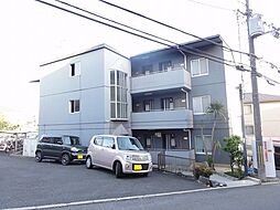 ラベンダー90 305