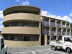 カントリーベア 212