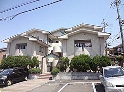 ヴィフラット・L 305