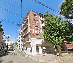 Cedar Forest京都北山 302