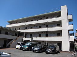 プリオールメゾンAOKI 203