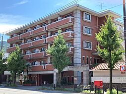 シュライン岡崎 414