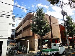 アヴェニール 305