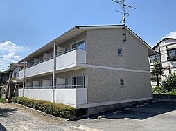 白川ベリタス 206