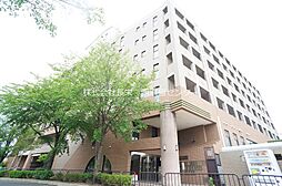 エル・カーサー 406