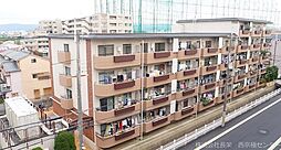 エバグリーン桂 4E