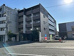 ジニア 105