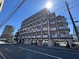 ルピナスKOGOME 312