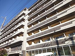 みつまめ京都 213