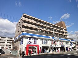 Du四条