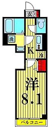スアヴィス舎人 505