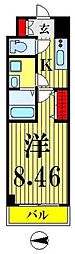 ホーリーホック 103